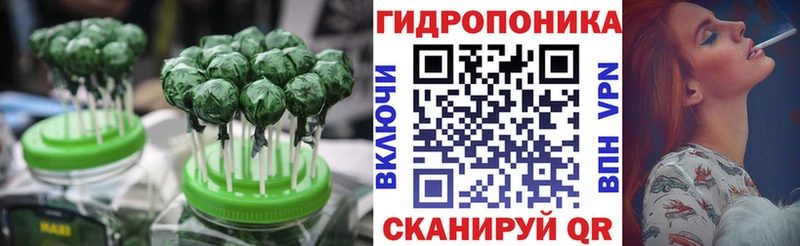 мега tor  Дмитров  Cannafood конопля 