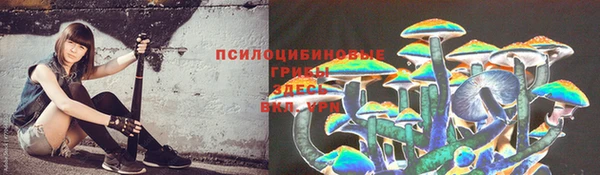 а пвп мука Арсеньев