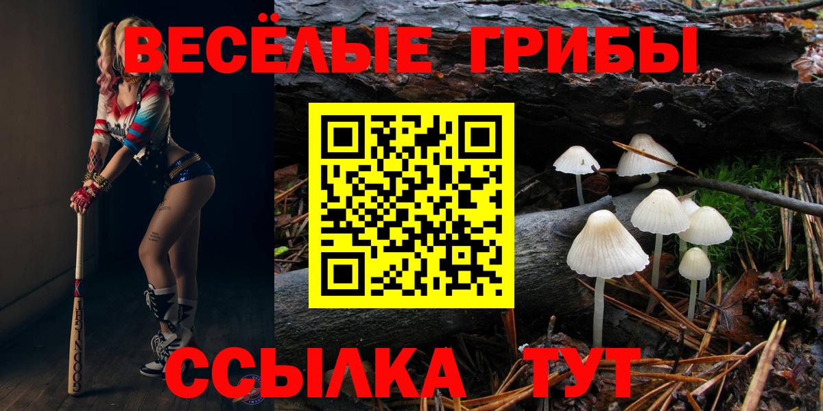 Дмитров  Галлюциногенные грибы прущие грибы  Вход с VPN 